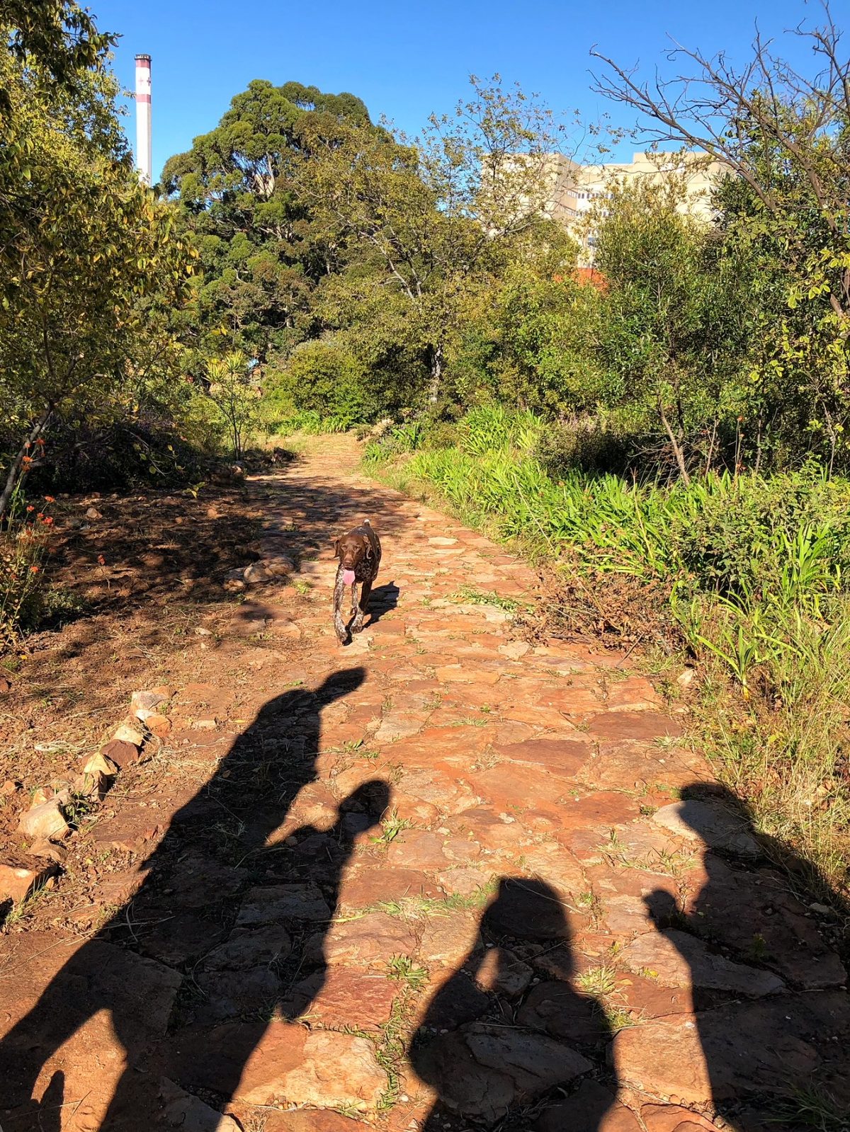 Weekend Walking in The Wilds Nature Reserve Amanzi Guest House Blog